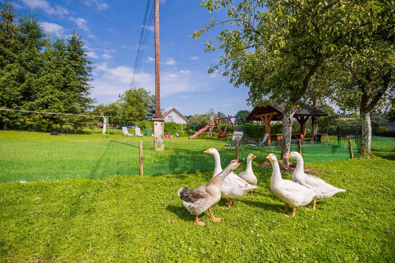 Villa Bieszczadzki Krakowiak 575-894-584 Lub 535-595-732 à Polańczyk Extérieur photo